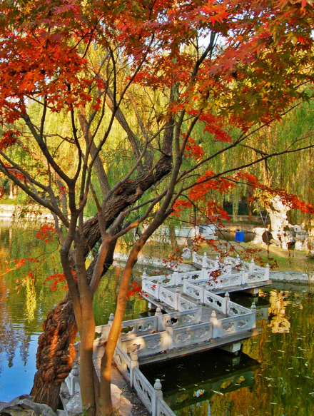 南曲桥小景 南曲桥小景