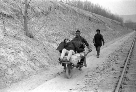 河南大饥荒 河南大饥荒