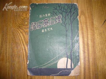 埋石弃石记 埋石弃石记