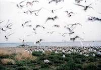 鄂尔多斯世珍园 鄂尔多斯世珍园