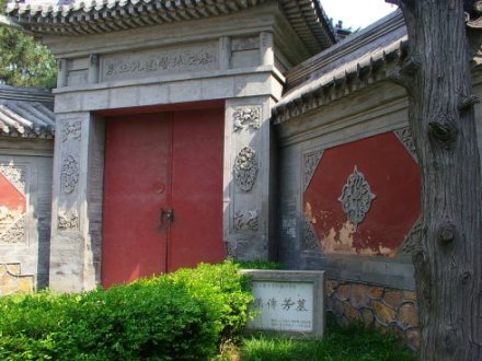 纪实文学《东南王孙传芳》 纪实文学《东南王孙传芳》