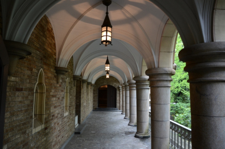 早稻田大学 早稻田大学