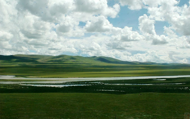 高原草地 高原草地