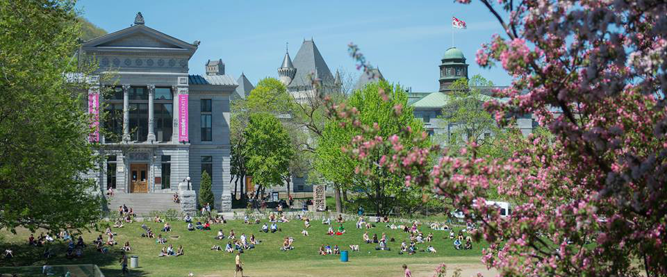 麦吉尔大学内景