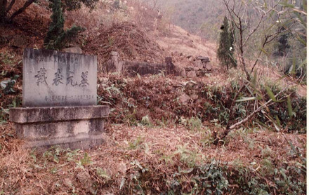 戴表元墓 戴表元墓