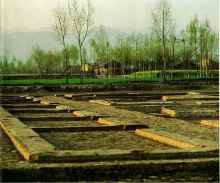 周原遗址 周原遗址