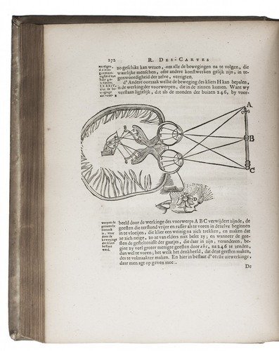 笛卡尔对感光与视觉的研究
笛卡尔对感光与视觉的研究