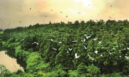 象山森林公园 象山森林公园