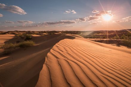 库布齐沙漠 库布齐沙漠