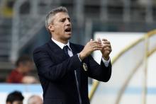 执教生涯 执教生涯