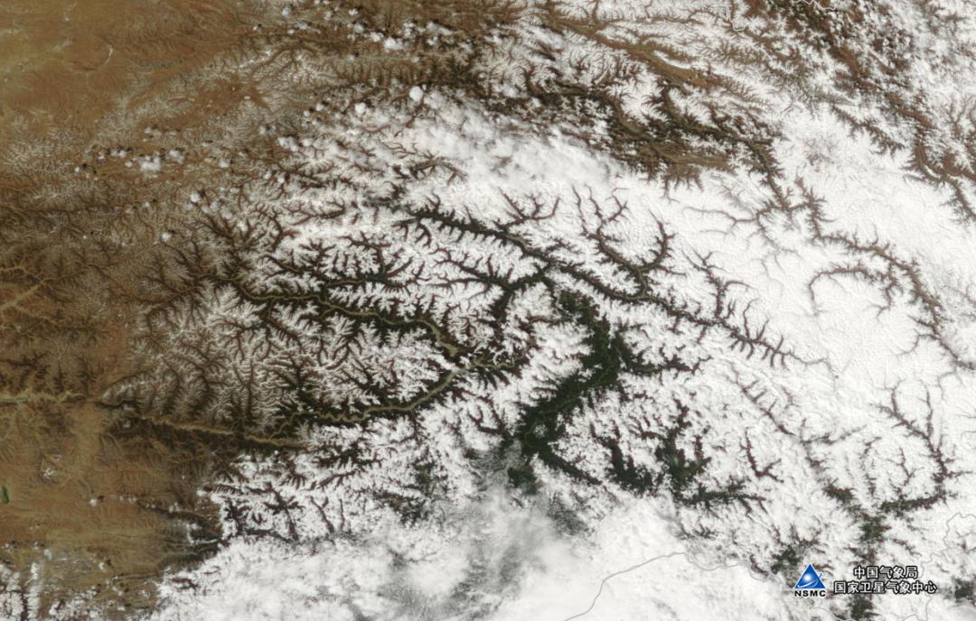 拍摄日期：2022年4月2日