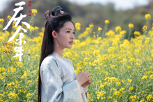 《庆余年》林婉儿