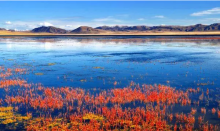 甘南州风光 甘南州风光