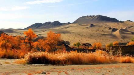 古丝绸之路途径的戈壁 古丝绸之路途径的戈壁