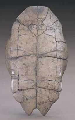 殷王武丁占卜用的龟腹甲 殷王武丁占卜用的龟腹甲