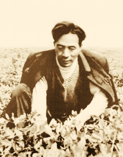 焦裕禄在劳动中 焦裕禄在劳动中