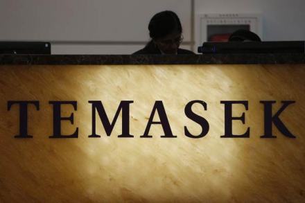 图1 Temasek 图1 Temasek