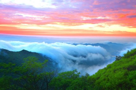 沂山云海 沂山云海