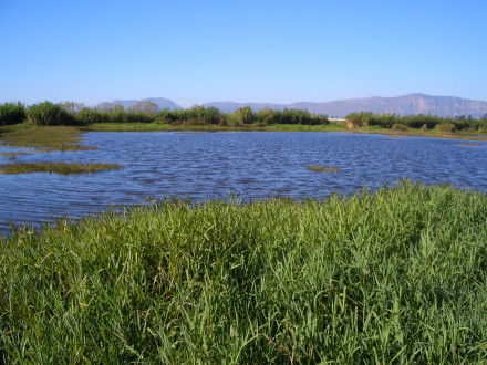昆明风光 昆明风光
