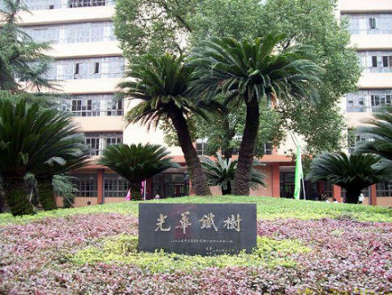 西南财经大学校园内的光华铁树 西南财经大学校园内的光华铁树