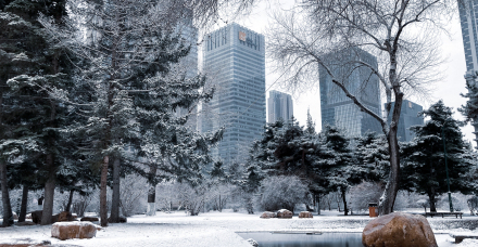 青年公园 青年公园