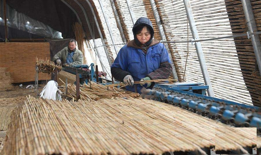 白洋淀苇产品编织