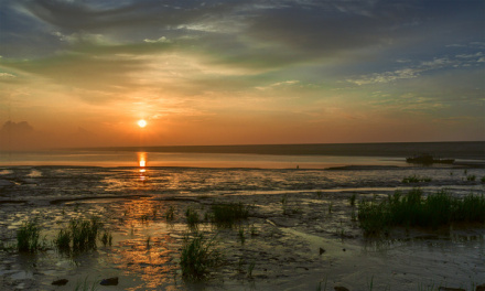 通州湾海滨滩涂 通州湾海滨滩涂