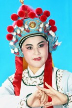 国二级演员--章胜强等