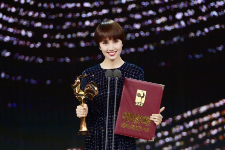 第33届中国电影金鸡奖 第33届中国电影金鸡奖