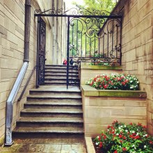 校园景色 校园景色