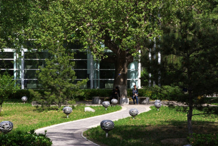 校园景色 校园景色