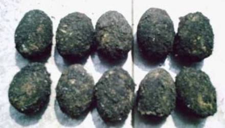 涌山灰包蛋 涌山灰包蛋