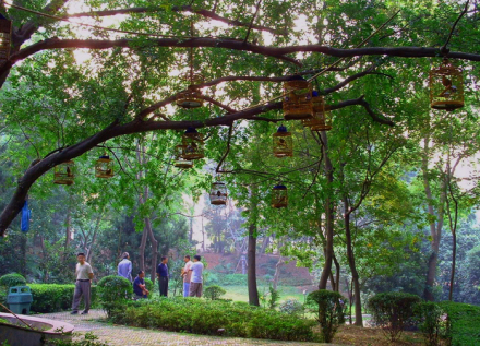 公园早晨 公园早晨