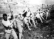 大生产运动 大生产运动