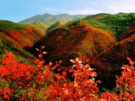 仲山生态森林公园 仲山生态森林公园