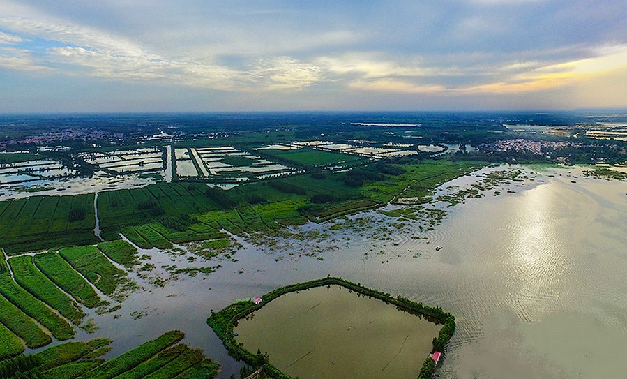 任丘白洋淀西大坞水域