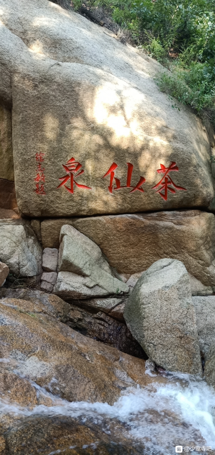 少室山茶仙泉 少室山茶仙泉