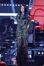 那英《中国新歌声第一季》