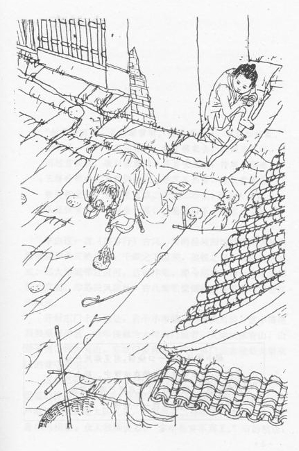 小说插图 小说插图