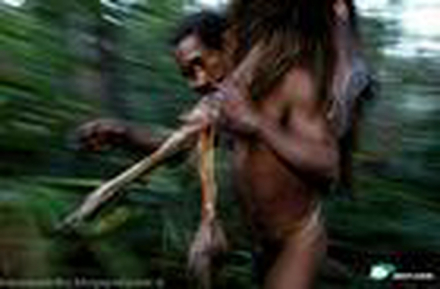 劳动的人 劳动的人