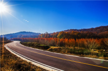 虎爪山国家森林公园