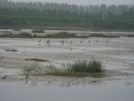 仙鹤湖水利风景区 仙鹤湖水利风景区