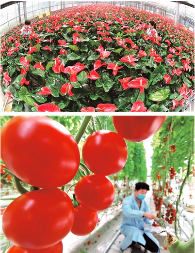 建业绿色基地
建业绿色基地