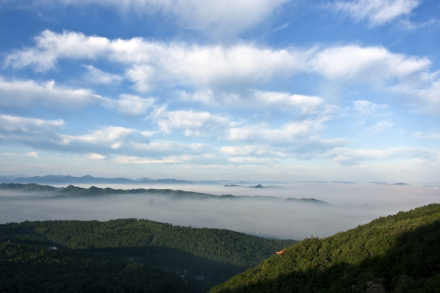 本溪森林 本溪森林