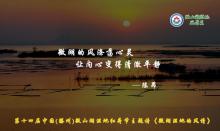 微湖湿地的风情 微湖湿地的风情