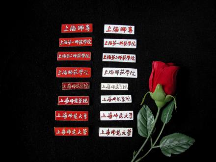 从师专到师大,校徽版本共有7种,每种分为教工和学生两种 从师专到师大,校徽版本共有7种,每种分为教工和学生两种