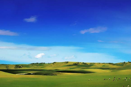 巴里坤草原 巴里坤草原