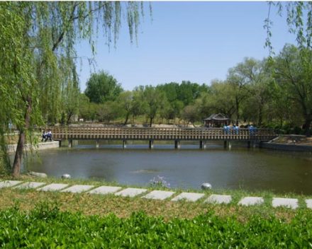 校园风光 校园风光