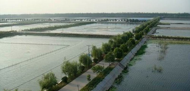 大通湖区的渔业养殖