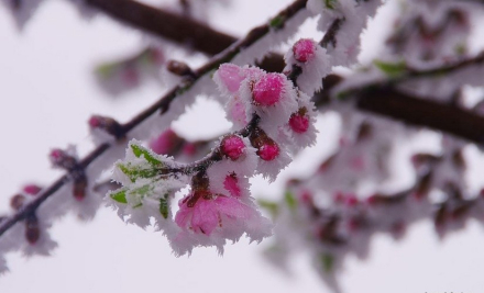 赣州峰山植被 赣州峰山植被